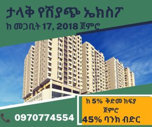 ታላቅ የሽያጭ ኤክስፖ
